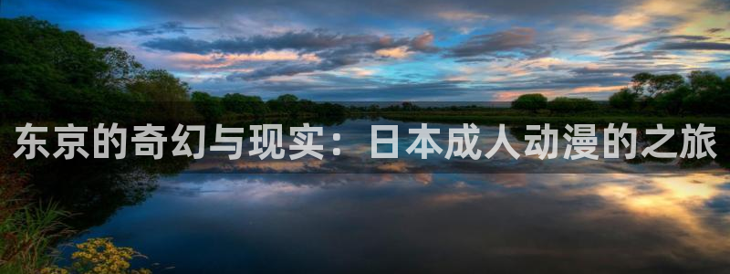 男人动漫天堂在线：东京的奇幻与现实：日本成人动漫的之旅