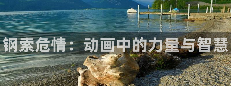秋叶原动漫天堂：钢索危情：动画中的力量与智慧