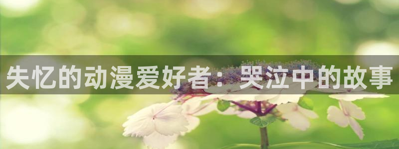 3d动漫天堂：失忆的动漫爱好者：哭泣中的故事