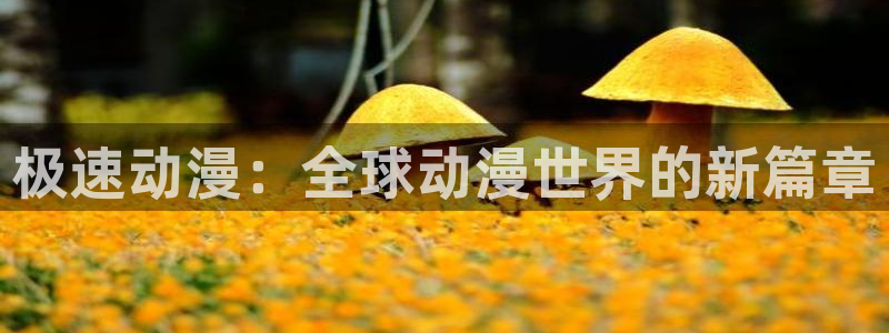 18动漫天堂：极速动漫：全球动漫世界的新篇章