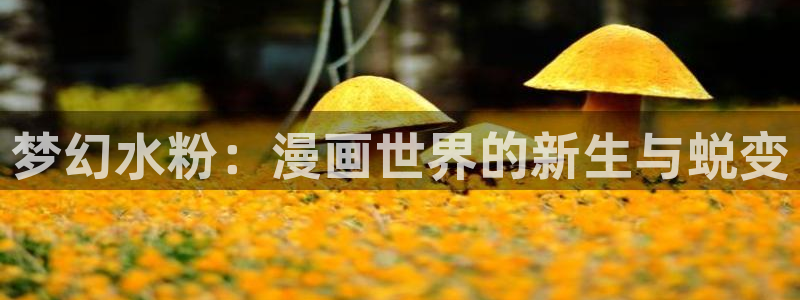 秋叶原动漫天堂：梦幻水粉：漫画世界的新生与蜕变