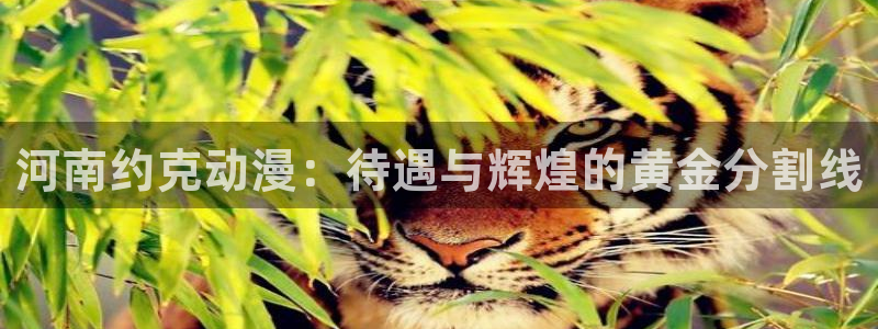 动漫天堂免费观看：河南约克动漫：待遇与辉煌的黄金分割线