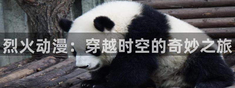 动漫天堂官方正版下载：烈火动漫：穿越时空的奇妙之旅
