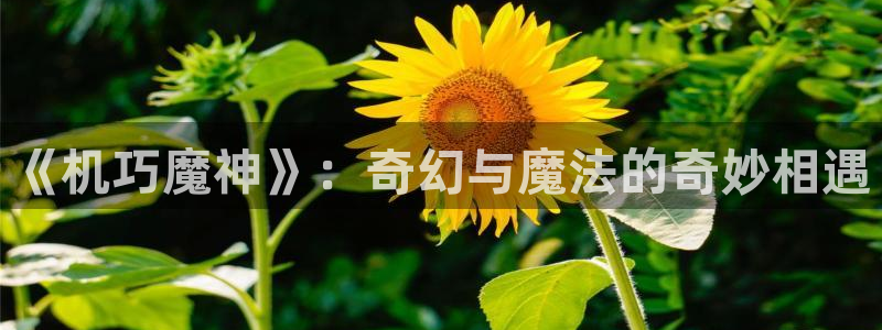 动漫天堂之吻：《机巧魔神》：奇幻与魔法的奇妙相遇