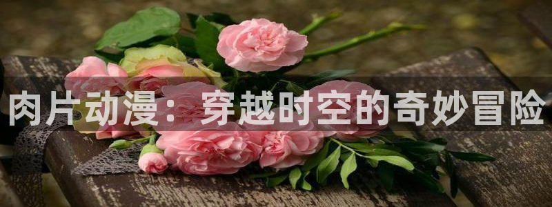 成人动漫天堂网：肉片动漫：穿越时空的奇妙冒险