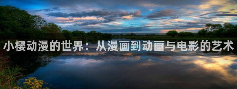 动漫天堂岛：小樱动漫的世界：从漫画到动画与电影的艺术