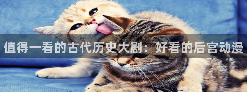 免费a漫动漫天堂.：值得一看的古代历史大剧：好看的后宫动漫