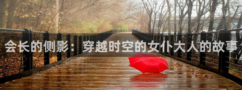 男人动漫天堂在线：会长的侧影：穿越时空的女仆大人的故事