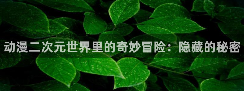 h动漫天堂：动漫二次元世界里的奇妙冒险：隐藏的秘密