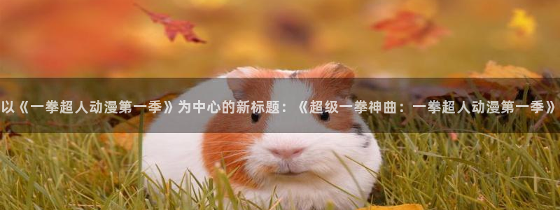 bt动漫天堂：以《一拳超人动漫第一季》为中心的新标题：《超级一拳神曲：一拳超人动漫第一季》