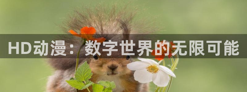 下载动漫天堂：HD动漫：数字世界的无限可能