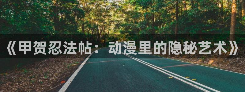 动漫天堂下载官方：《甲贺忍法帖：动漫里的隐秘艺术》