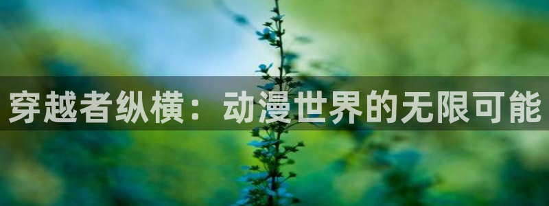 动漫天堂岛：穿越者纵横：动漫世界的无限可能