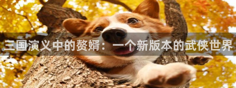 动漫天堂在线：三国演义中的赘婿：一个新版本的武侠世界
