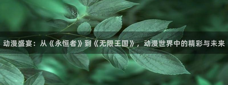 内地动漫天堂：动漫盛宴：从《永恒者》到《无限王国》，动漫世界中的精彩与未来