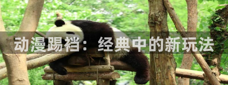 动漫天堂免费观看：动漫踢裆：经典中的新玩法