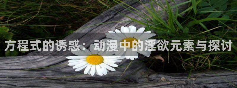 动漫天堂网址：方程式的诱惑：动漫中的淫欲元素与探讨