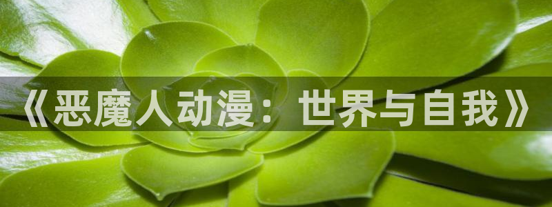 动漫天堂免费：《恶魔人动漫：世界与自我》