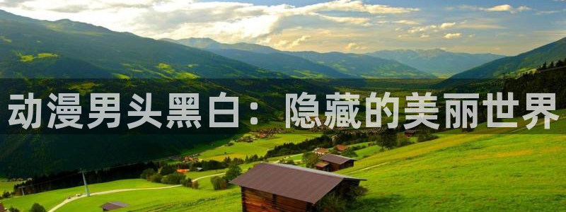 动漫天堂下载安装最新版：动漫男头黑白：隐藏的美丽世界