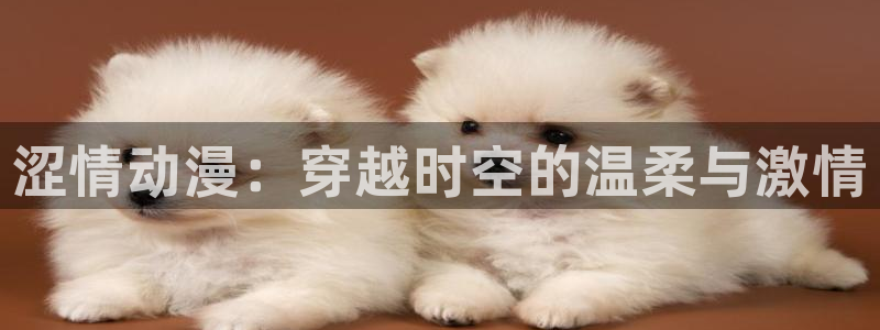动漫天堂岛：涩情动漫：穿越时空的温柔与激情