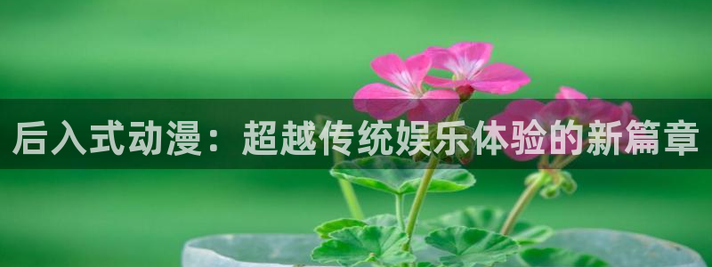 男人动漫天堂在线：后入式动漫：超越传统娱乐体验的新篇章
